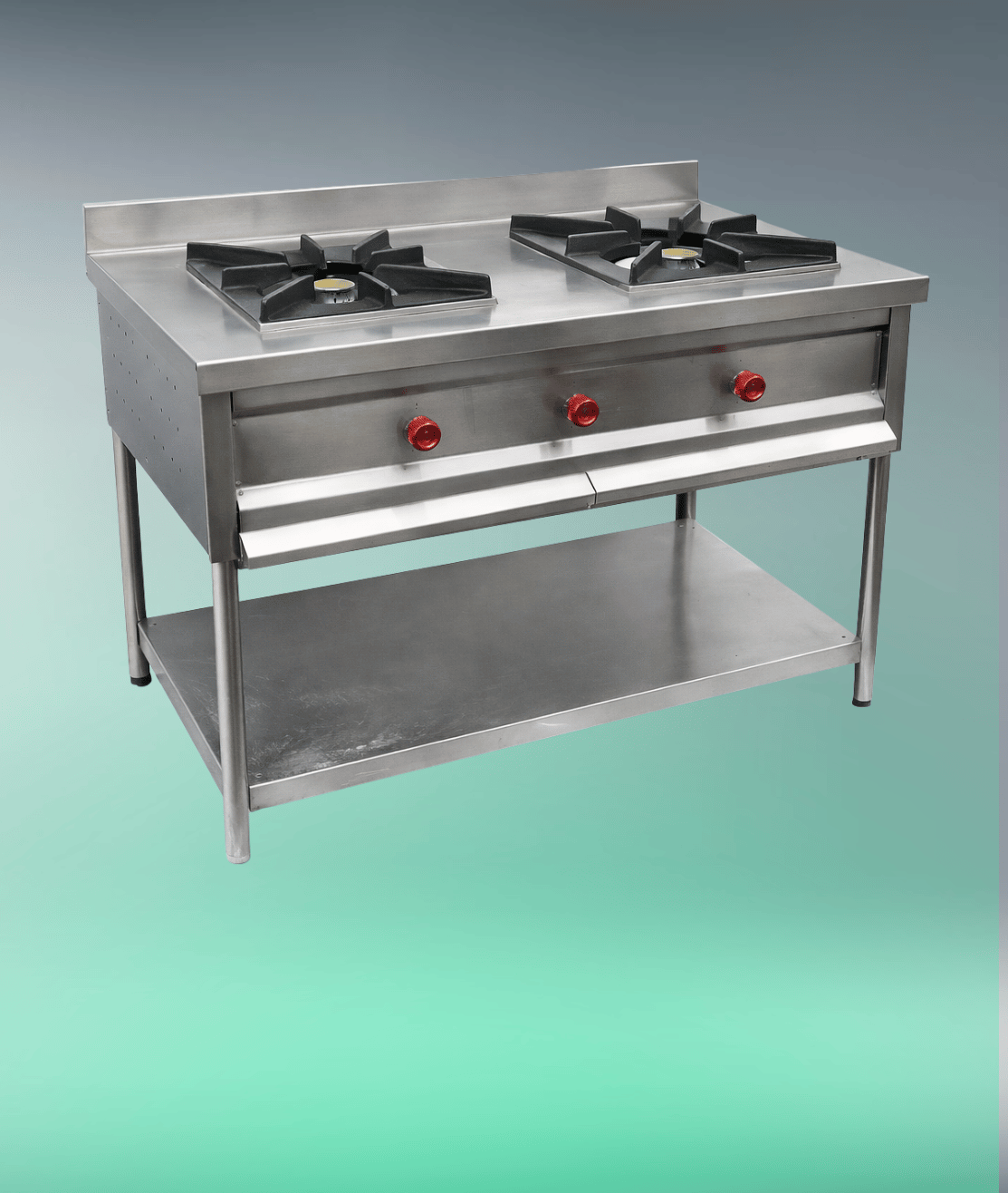 Two Burner Gas Range